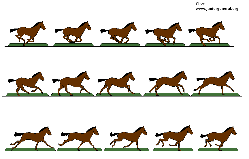  Horses 5: Brown Horse running (15) 