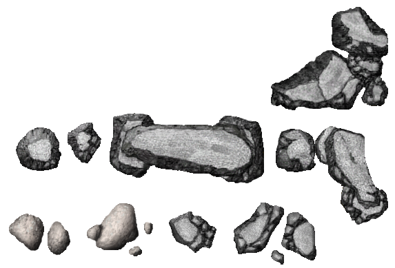 Rocks