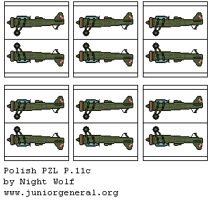 Polish PZL P.11c
