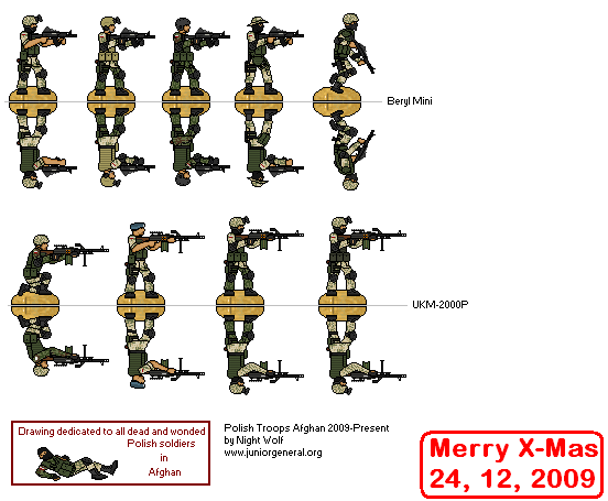 Polish Infantry (Afghanistan)
