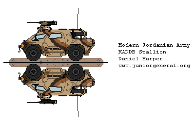 Jordanian KADDB Stallion