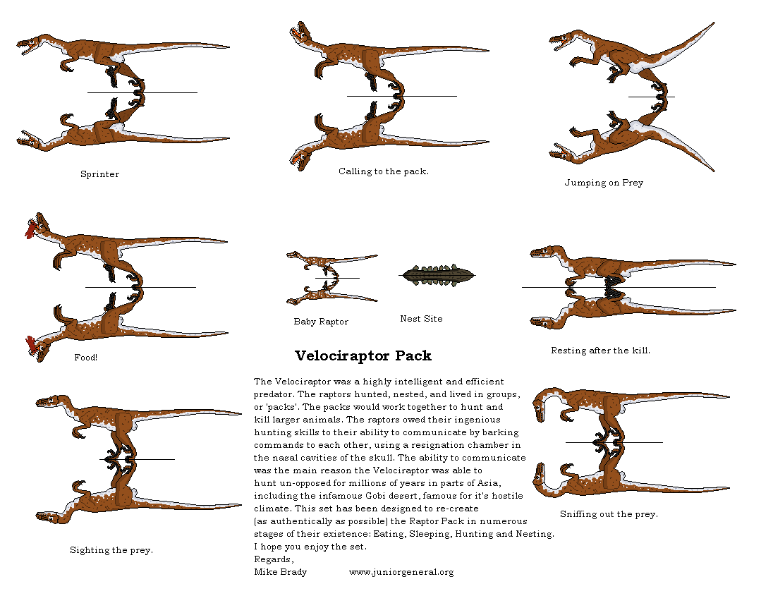 Velociraptor Pack