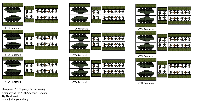 Polish 12th Szczecin Brigade
