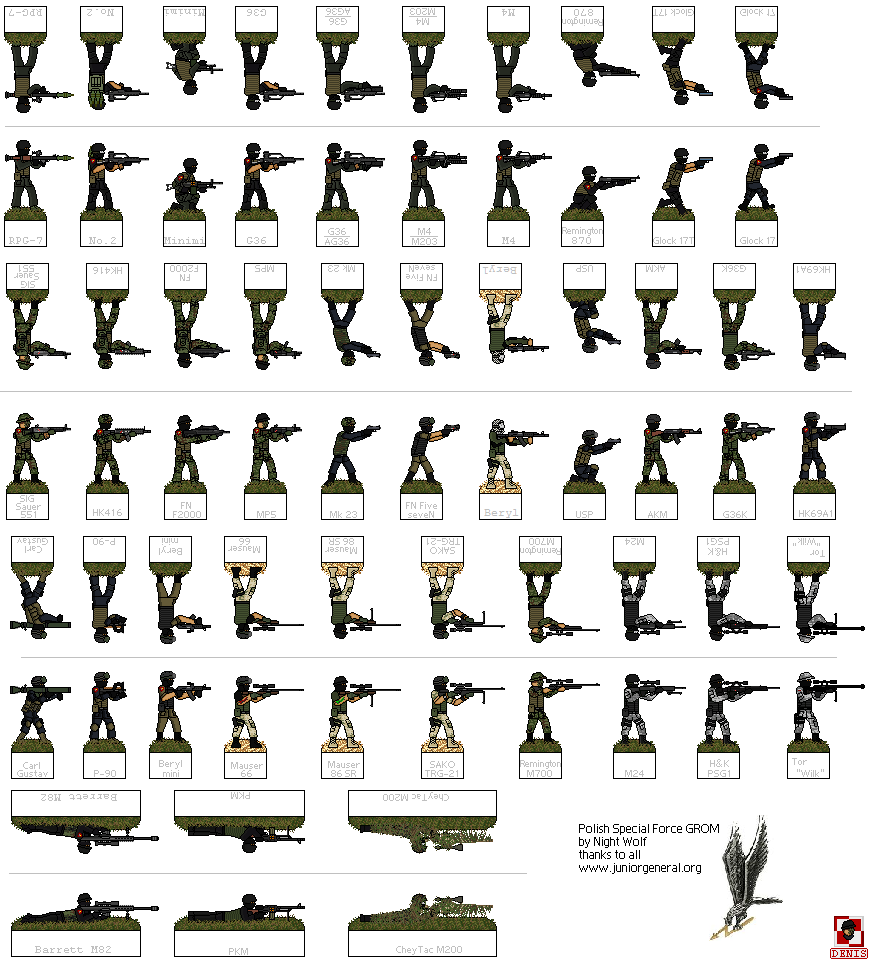 Polish Special Forces