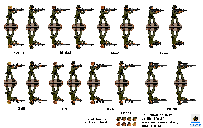 Israeli Defense Force