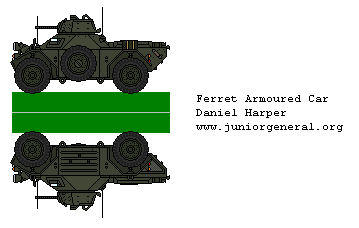 British Ferret Armored Cat