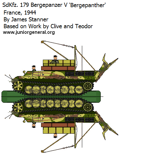 Bergepanther