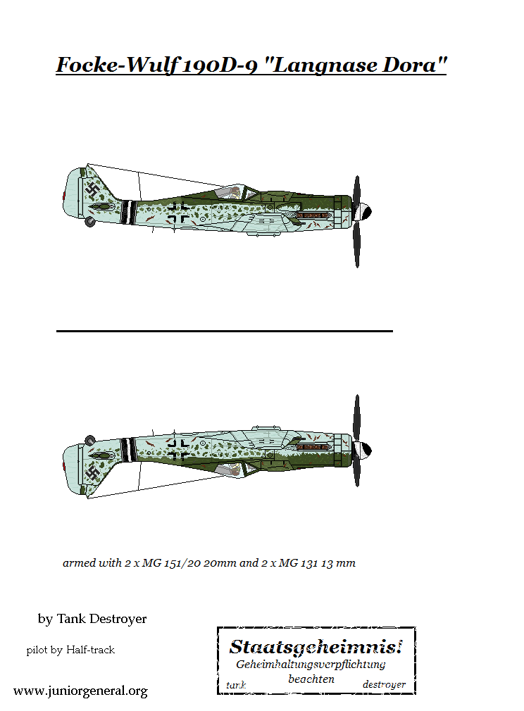 Focke-Wulf 190D-9 Fighter