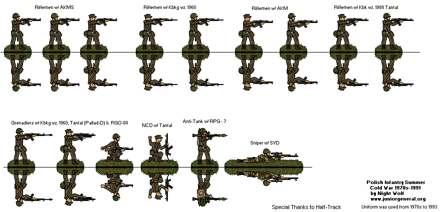 Polish Infantry