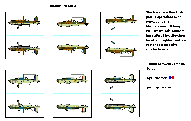 British Blackburn Skua