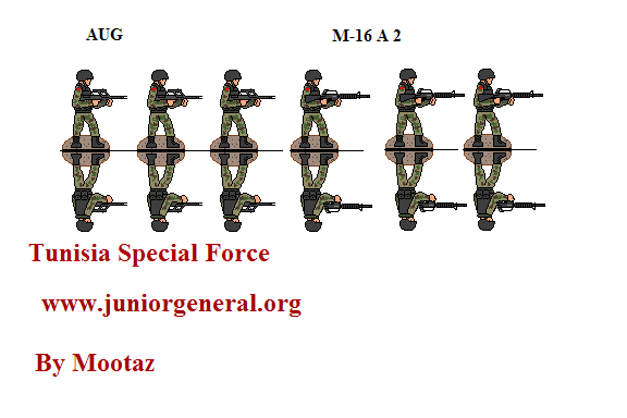 Tunisian Special Forces
