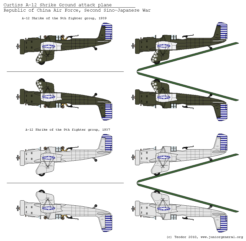 Chinese Curtiss A-12 Shrike