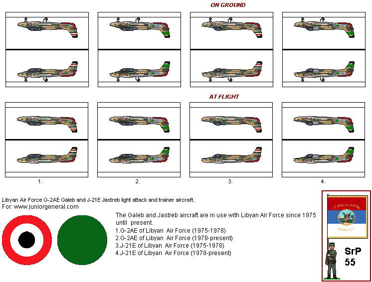 Libyan Planes