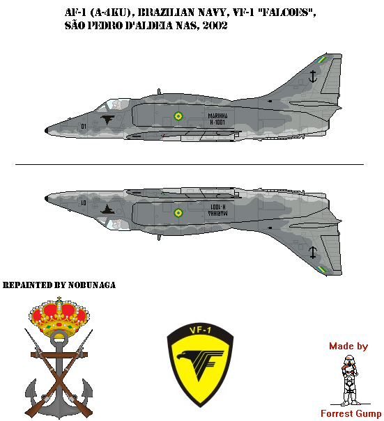 Brazilian AF-1 Aircraft