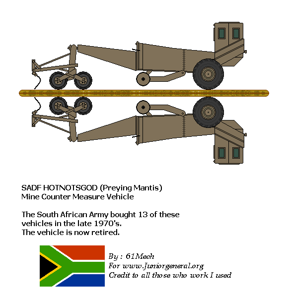 South African Preying Mantis