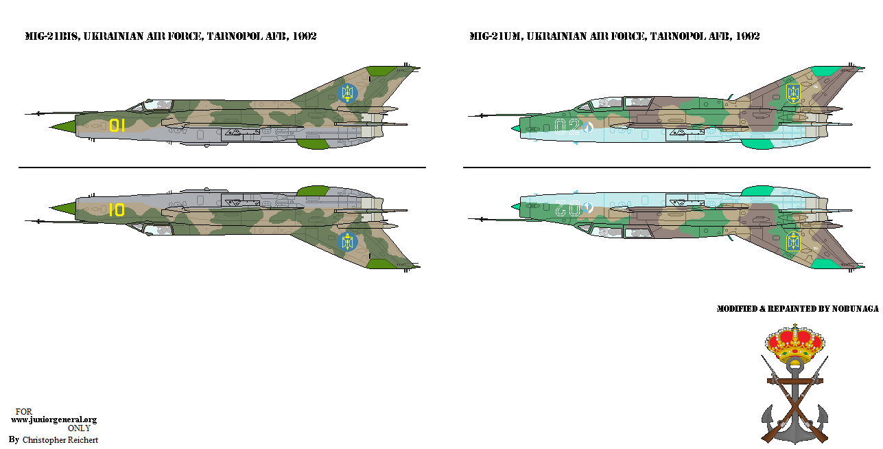 Ukrainian Mig-21