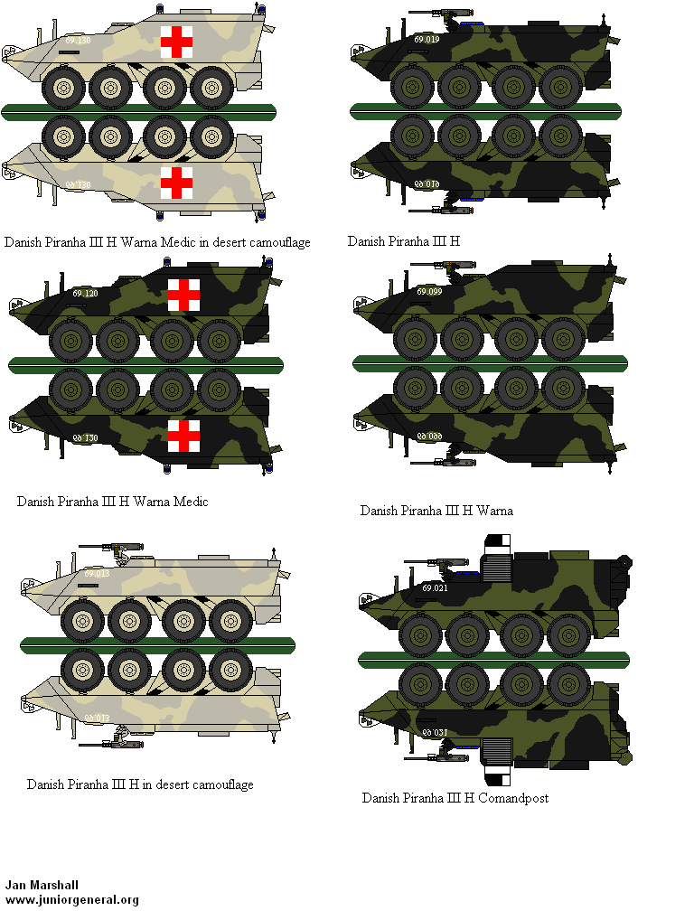Danish Piranha III H