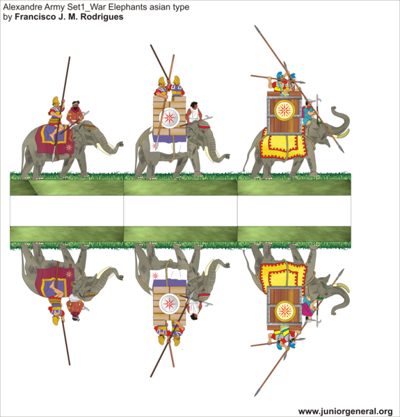 Alexander's War Elephants