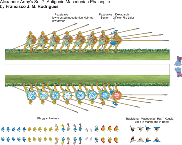 Alexander's Macedonian Phalangites