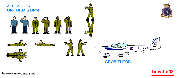 Air Cadets