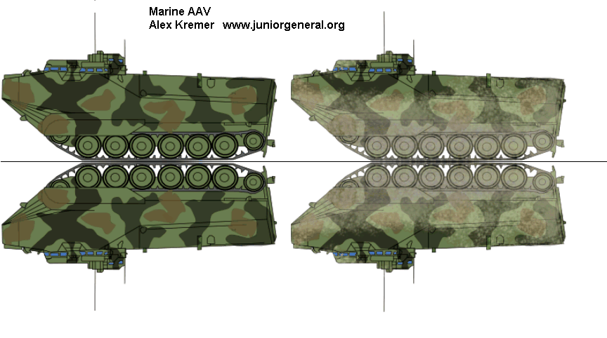 Marine AAV 1