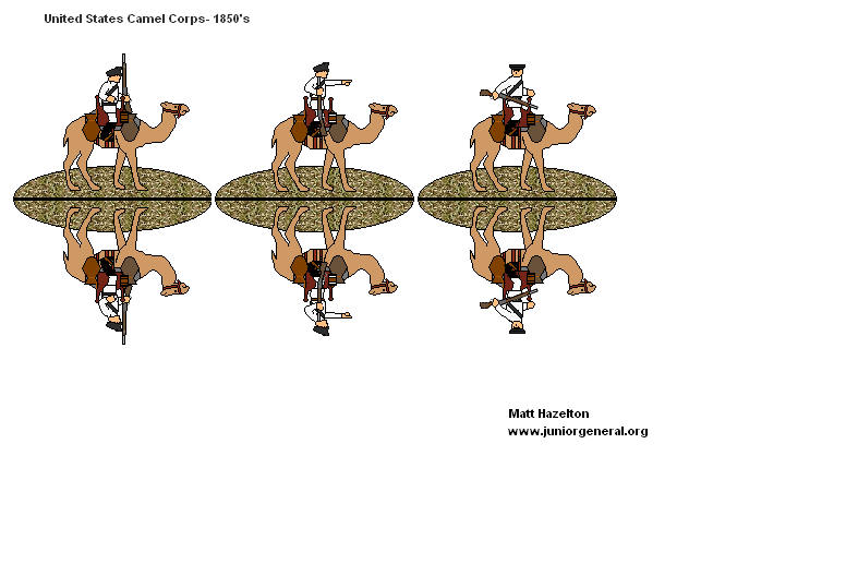US Camel Corps