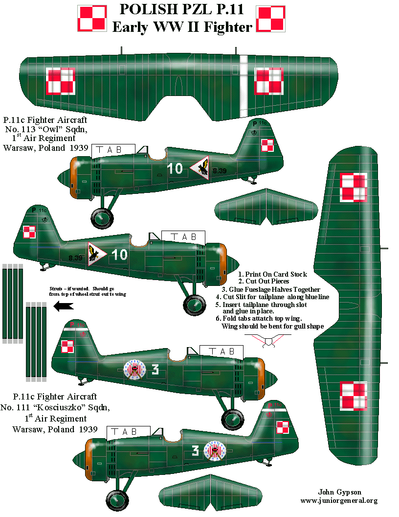 PZL P.11