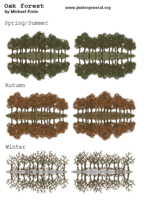 Oak Forest (micro-scale)