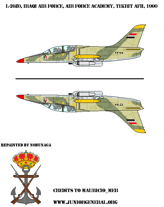 Iraqi L-39ZO Jet