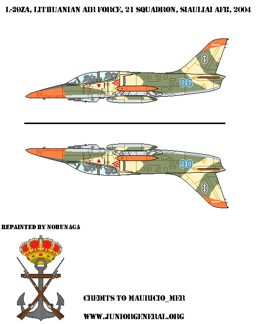 Lithuanian L-39ZA Jet