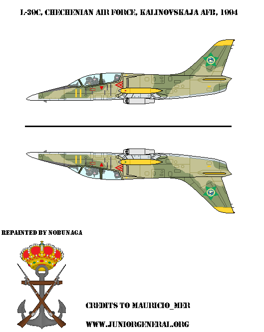Chechenian L-39C Jet