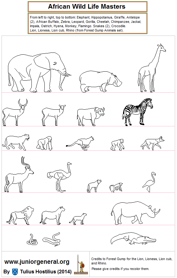 African Animals Masters