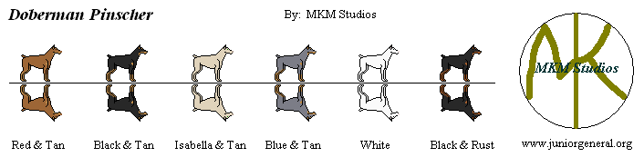 Doberman Pinschers