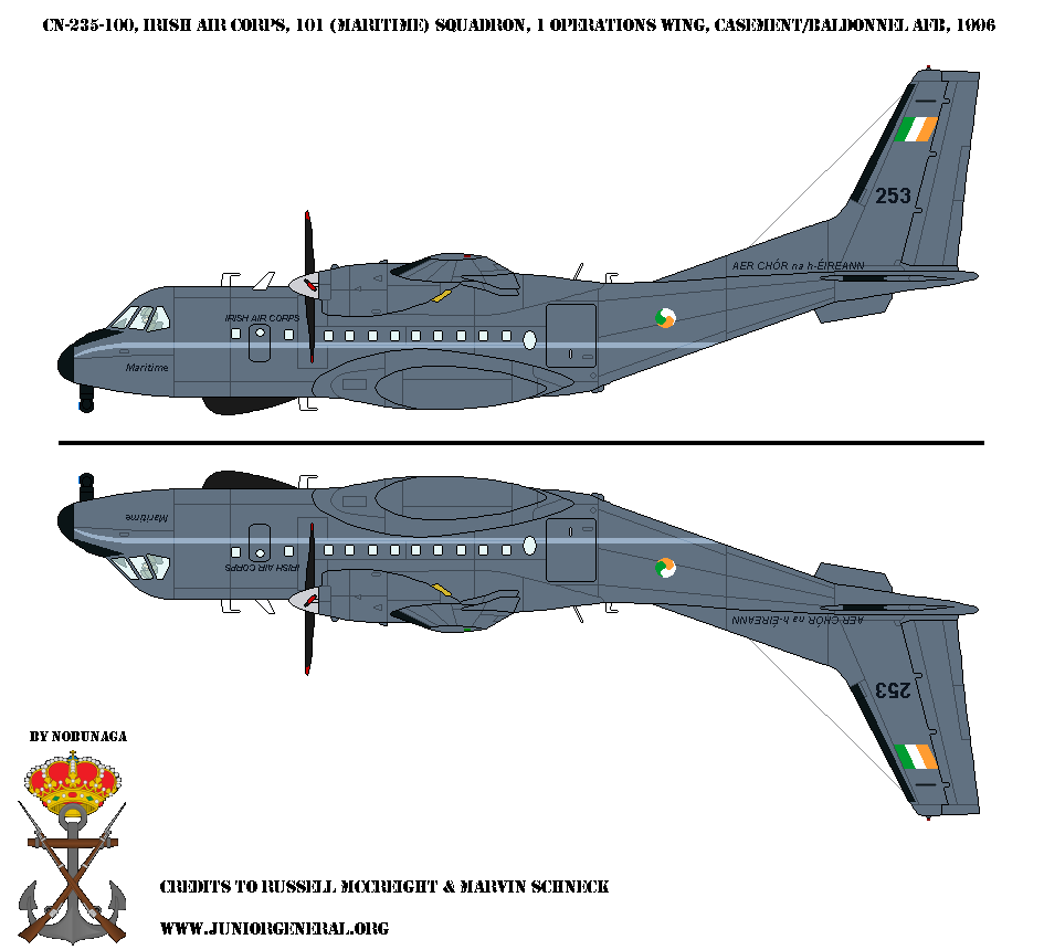 Irish CN-235-100 Aircraft