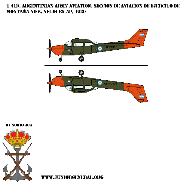 Argentinian T-41D