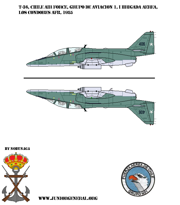 Chile T-36