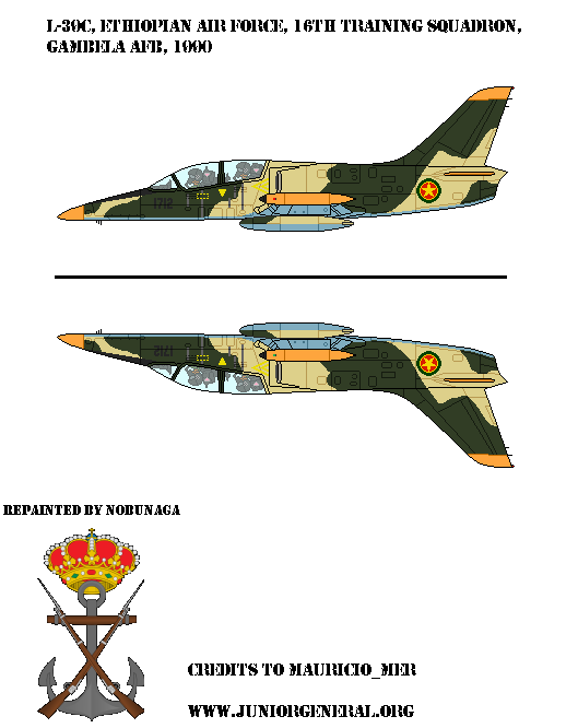 Ethiopian L-39C Aircraft