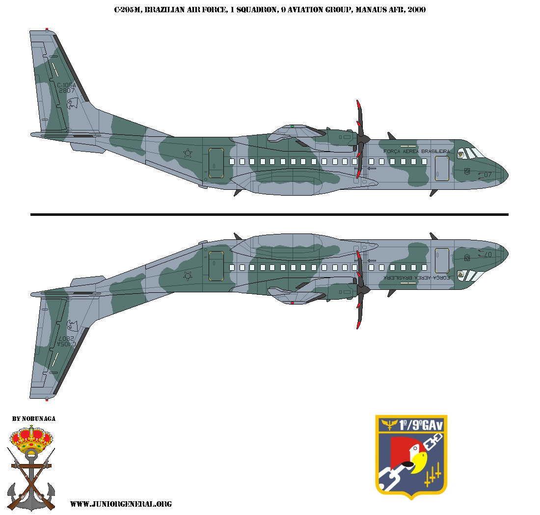 Brazilian C295M