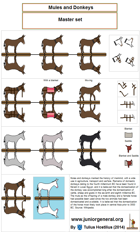 Mules and Donkeys