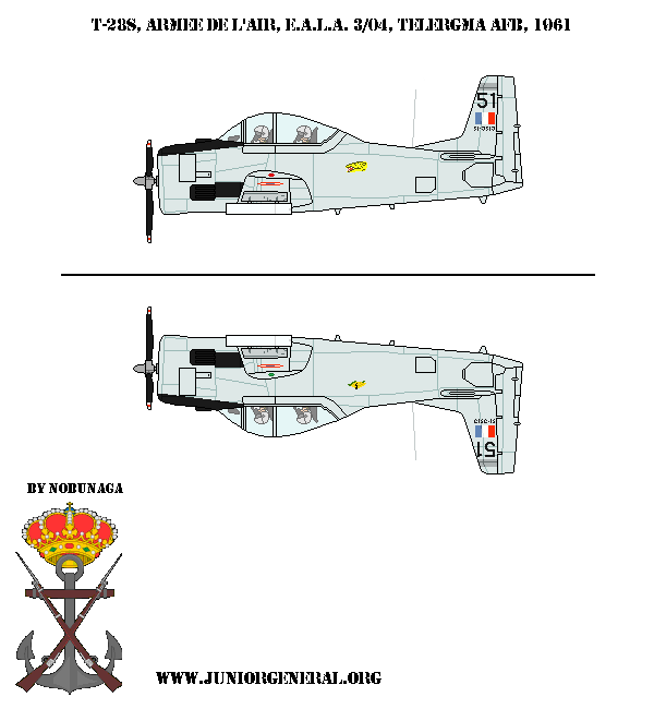 France T-28D Aircraft