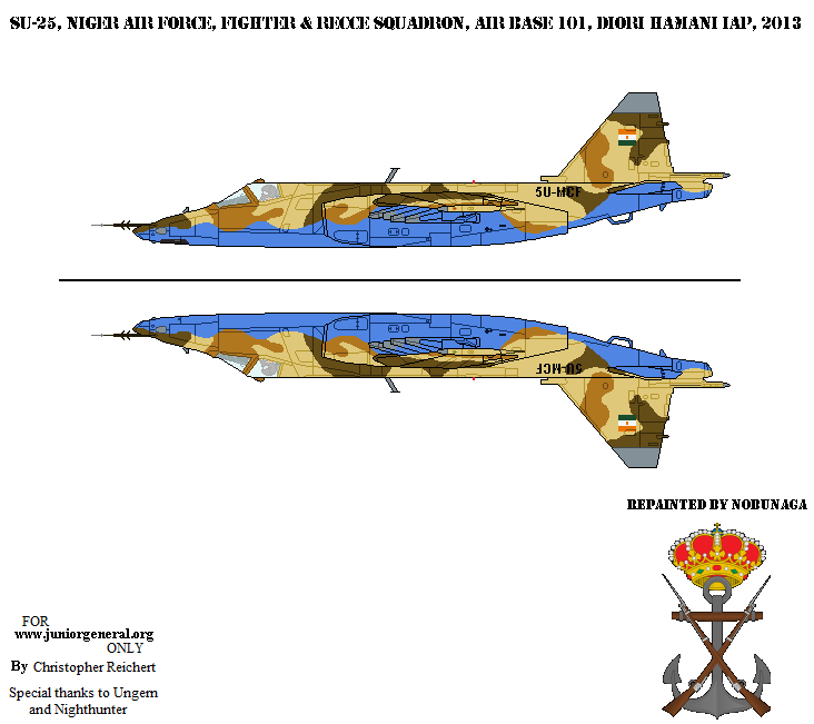 Niger Su-25 Aircraft
