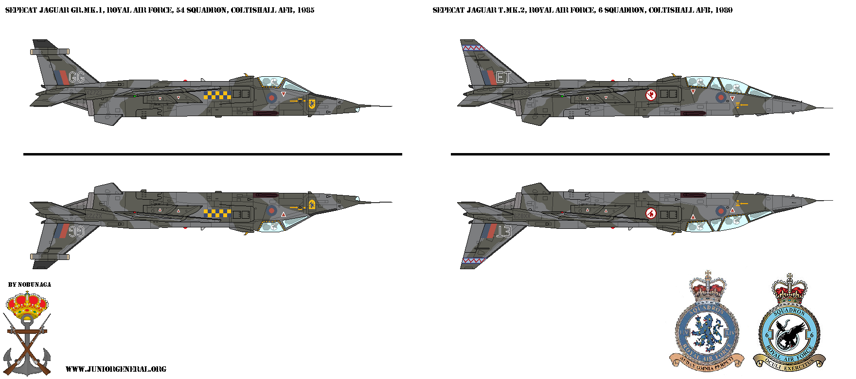 British SEPECAT Jaguar Aircraft