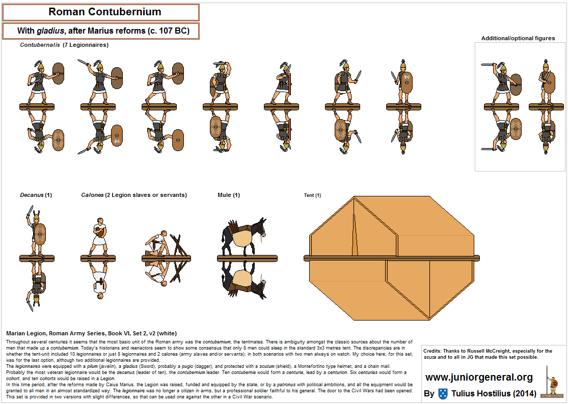 Roman Contubernium