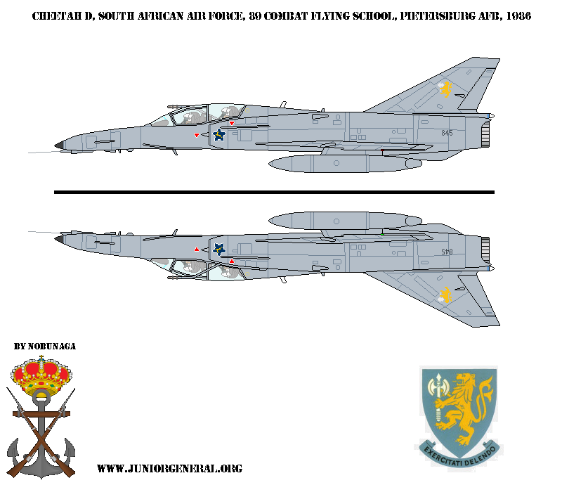 South African Cheetah D