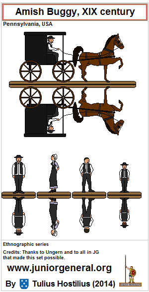Amish Buggy